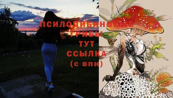 бутират Алзамай