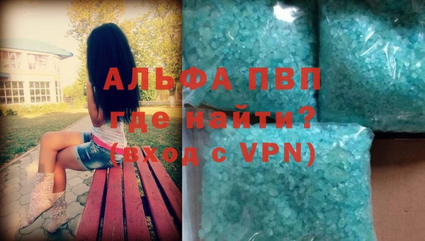 PSILOCYBIN Аркадак