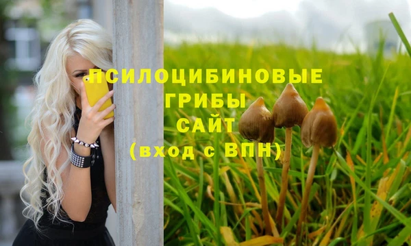 PSILOCYBIN Аркадак