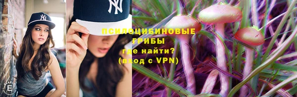 PSILOCYBIN Аркадак
